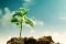 Shutterstock-nmedia-3-2-1920x1280px.jpg